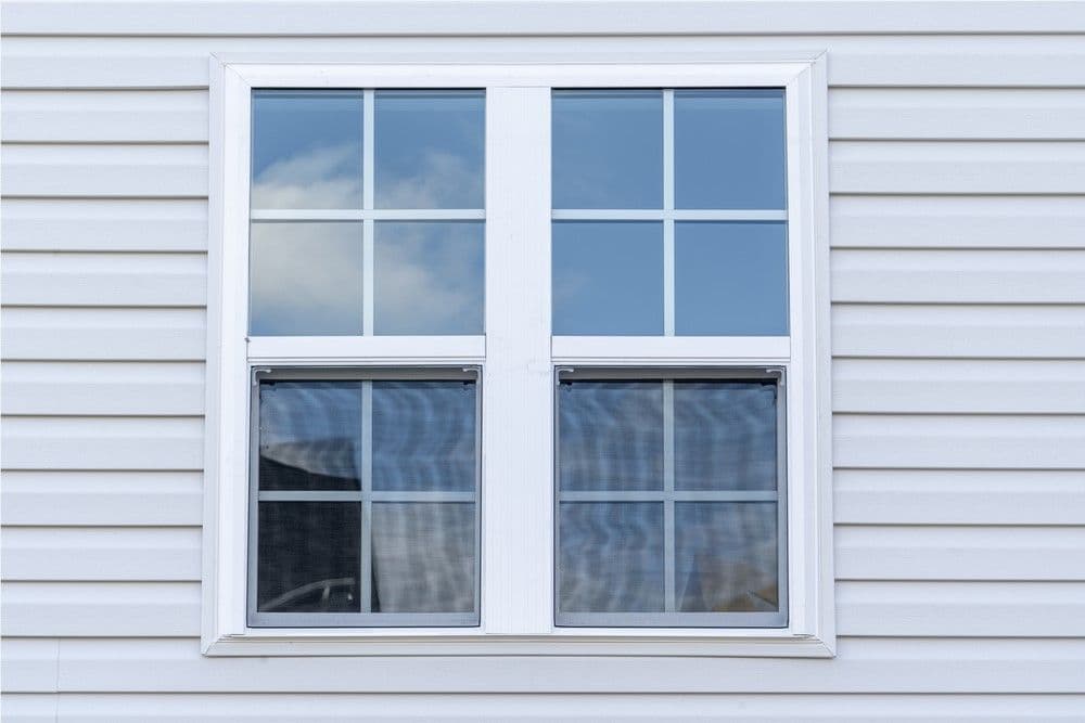 Window