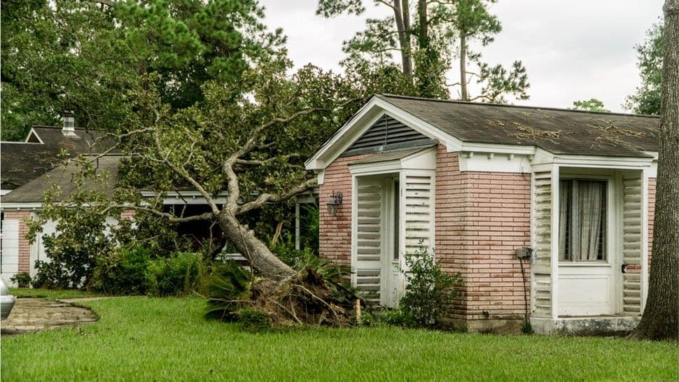 Hurricane Damage Repair