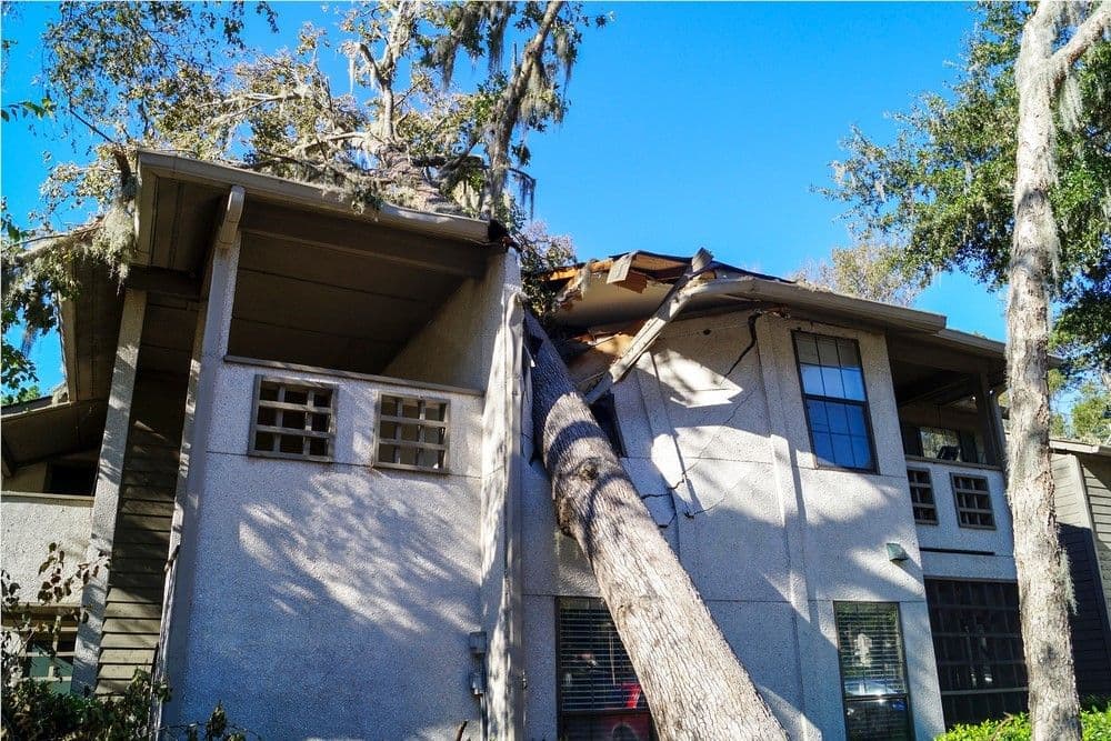 Storm Damage