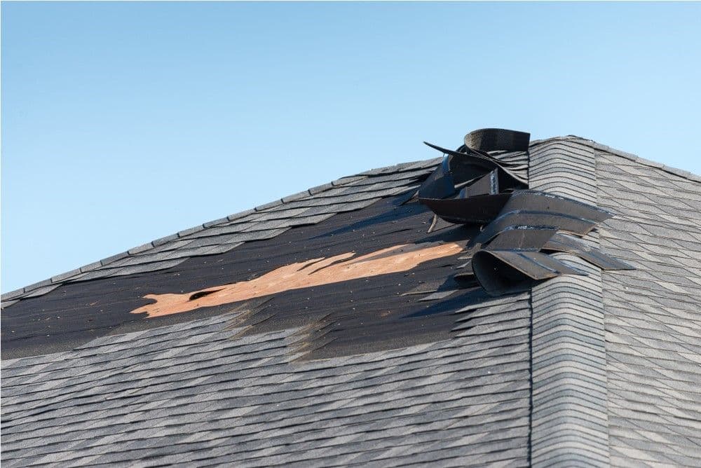 Commercial Roof